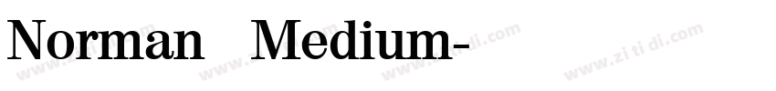 Norman   Medium字体转换